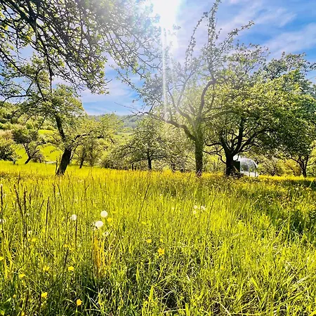 Luksustelt Romantik Pur - Schlafen Unter Dem Sternenhimmel Auenwald